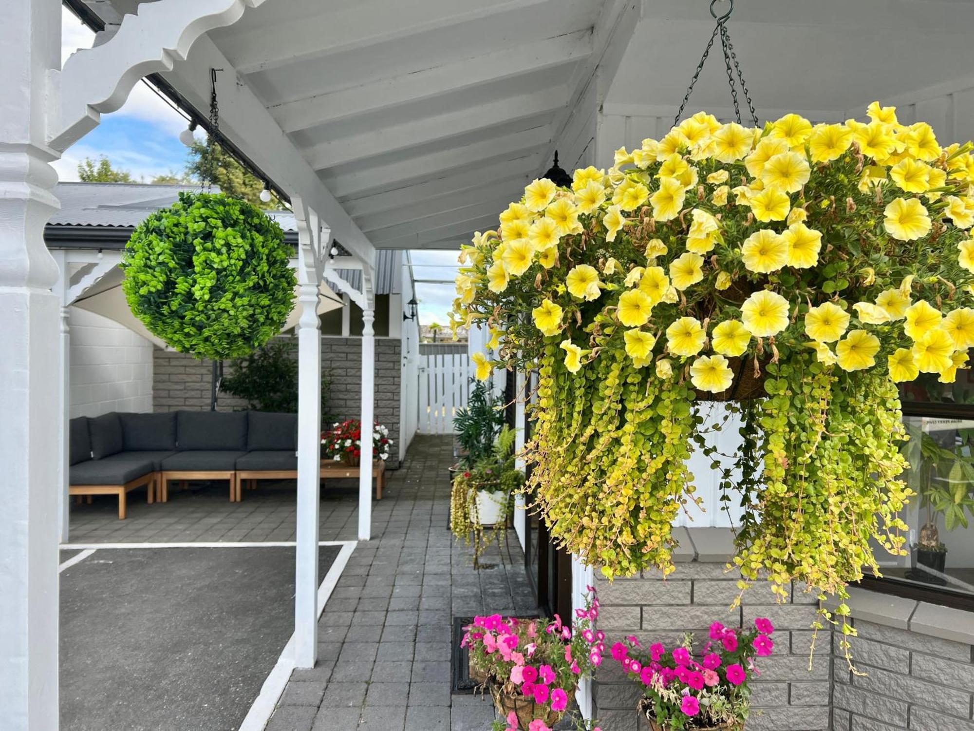 Ashbrook Motel Таупо Екстер'єр фото